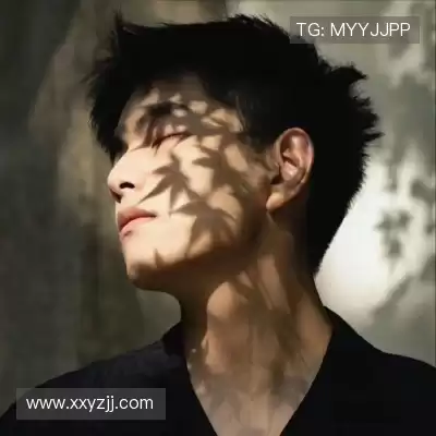 凤万宇